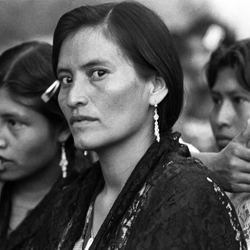 Ángeles Torrejón, Sin título, Selva de Chiapas, 1994, Imagen digital, Colección Ángeles Torrejón